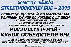 Турнир по хоккею с шайбой SHL-2015